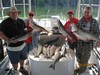 (06/09/2017) - Nice Striped Bass